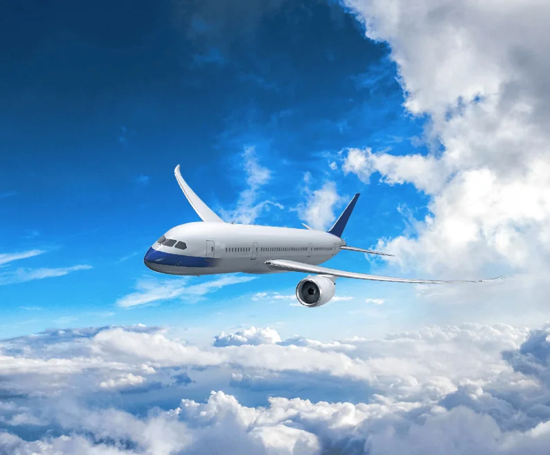 Affordable Flight Tickets, Discounted Airfare | Wizfair Travels